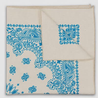 Lowcountry Turquoise Paisley
