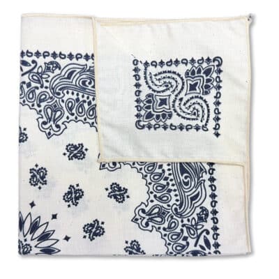 Harbor Navy Blue & Natural Paisley Handkerchief / Pocket Square