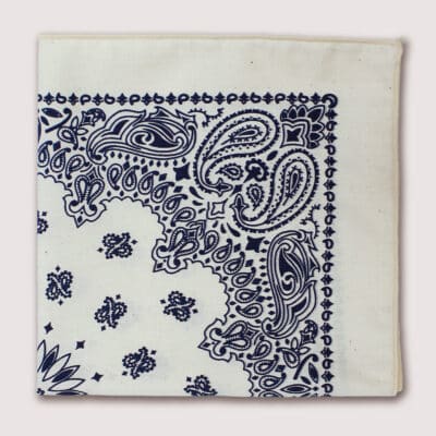 Harbor Navy & Natural Paisley Handkerchief / Pocket Square